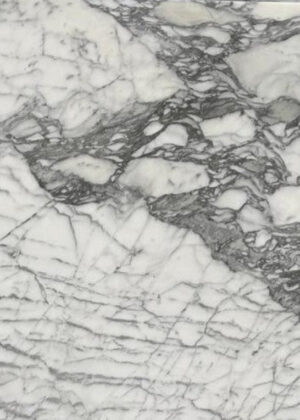 Arabescato Corchia Marble