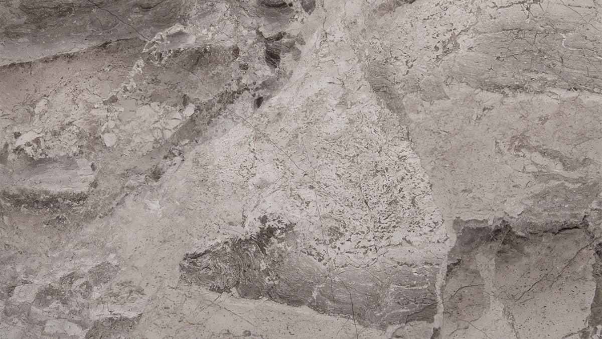 Atlantic Grey Mable - Image 2