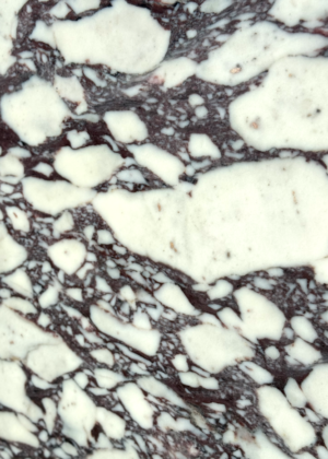 Calacatta Viola Marble