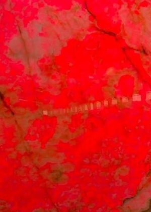 Red Onyx Slabs